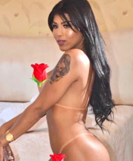 Anitta Ferraz 